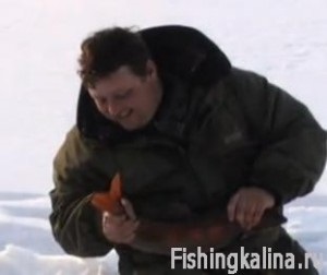 Fehérhal és omul befogása a Baikal-ról jégről