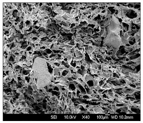 Matrix este un material inovator pe bază de colagen - sistemul de implant dentar biotehnic dentar