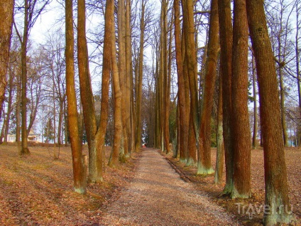 Muranovo és környéke