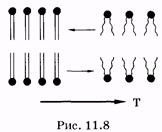 Unele proprietăți fizice și parametrii membranelor - stadopedia