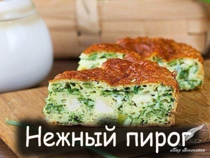 Placinta delicioasa cu ceapa verde, crusta de pui si brinza