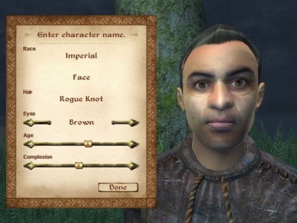 Oblivion az npc arc segítségével a játék karakterhez