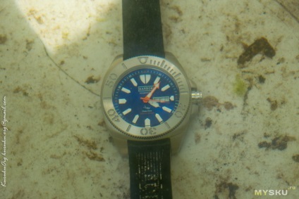 Revizuirea ceasurilor de scufundări barbos - seamaster - 1000 de metri