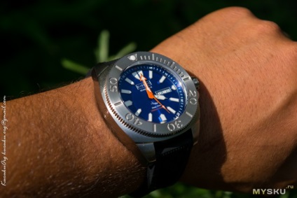 Revizuirea ceasurilor de scufundări barbos - seamaster - 1000 de metri