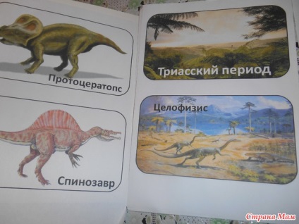 A dinoszauruszokról