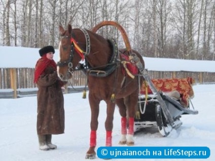 Pentru a încorpora în tradițiile și cultura nordului rus - un raport privind realizarea