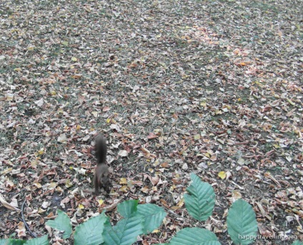 Park lasenki în Varșovia - un loc foarte frumos și liniștit