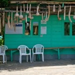 O excursie de-a lungul coastei Amalfi