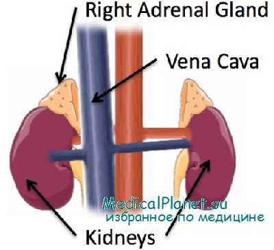 Cauzele unei creșteri a glandei suprarenale