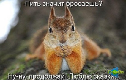 Explicații amuzante pentru fotografii, și doar imagini rzhachnye)