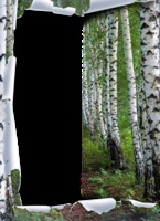Efecte de fotografie cu efecte foto naturale online - rame foto online fără înregistrare