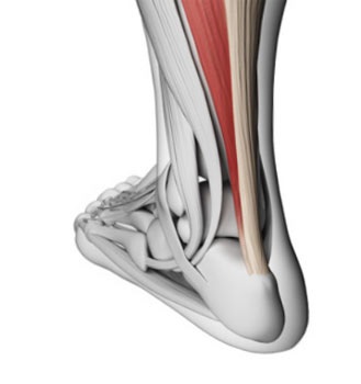 Atributele tendinitei lui Achilles, caracteristici ale tratamentului