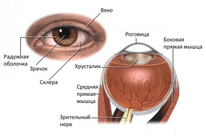 Semnele de simptome glaucom-ochi sunt tratamentul, care a efectuat prima operație, laser, metode populare