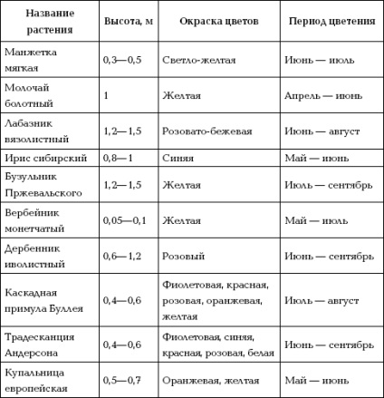 Plante pentru sol umed - paturi de flori în scheme