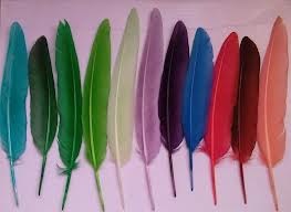 Secretele de pene colorate