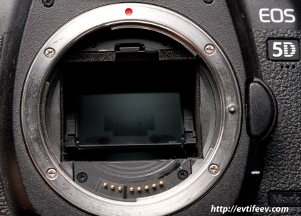 Sistemul de focalizare automată a camerelor cu oglindă și fără oglindă, blogul lui Dmitri Yevtifeev