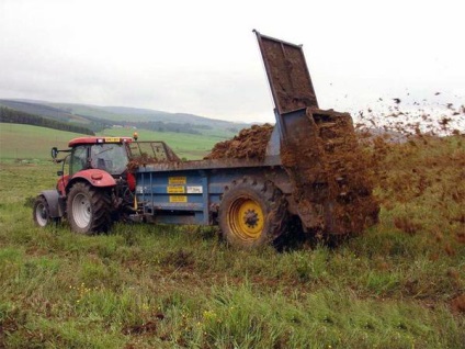 Metode și termeni de aplicare a îngrășămintelor de grâu de toamnă