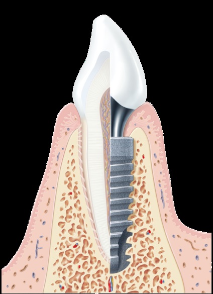 Dental Clinic Vienna din Dalian