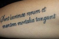 Tatuaj în schițe latine, fotografie, inscripții în limba latină cu traducere