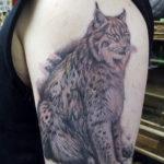 Lynx tatuaj, atrag atenția asupra ta, fotografii și schițe