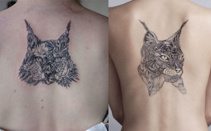Lynx tatuaj, atrag atenția asupra ta, fotografii și schițe