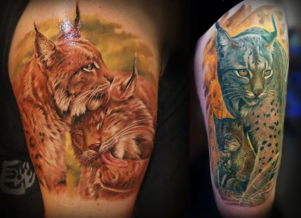 Lynx tatuaj, atrag atenția asupra ta, fotografii și schițe