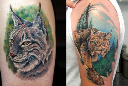 Lynx tetoválás, felhívja figyelmét Önre, fotókra és vázlatokra