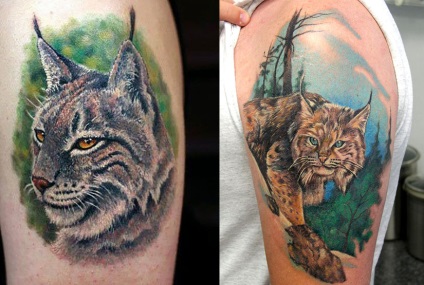 Lynx tatuaj, atrag atenția asupra ta, fotografii și schițe