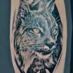 Lynx tatuaj, atrag atenția asupra ta, fotografii și schițe