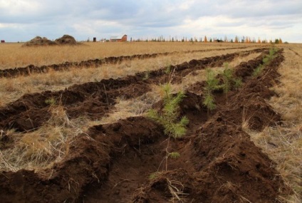 Tipuri de soluri și zone naturale