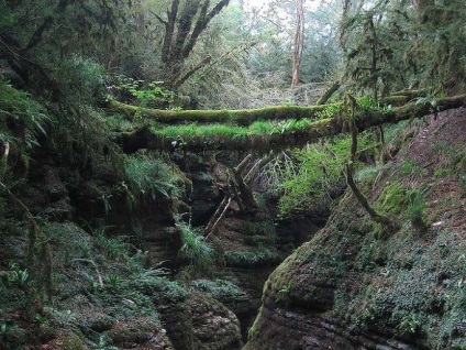 Tipuri de soluri și zone naturale