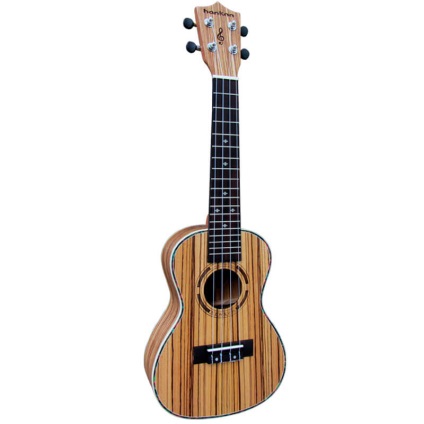 Top 5 ukulele pe care le puteți cumpăra pentru un preț scăzut