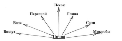 Lecții de studiu pe această temă - solul - o cămară minunată