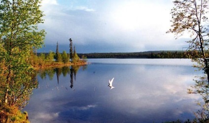 Верхнетуломский водосховище