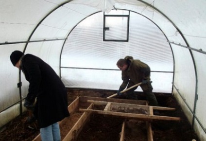 Lucrul de primăvară în seră înainte de a planta tratamentul cu efect de seră