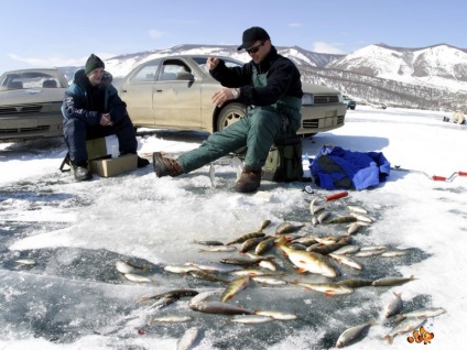 Pescuitul de primăvară pentru pescuitul albului în lac este un pescuit baikal în Rusia și în întreaga lume