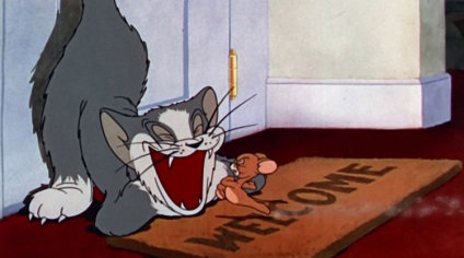 Tot ce ai vrut sa stii despre desene animate Tom si Jerry