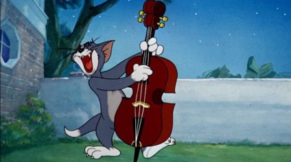 Tot ce ai vrut sa stii despre desene animate Tom si Jerry