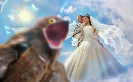 Minden az esküvőről - humor fm - a fő humor