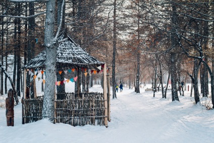 La teatru sau la patinoar, ce să faci în vacanța de Anul Nou