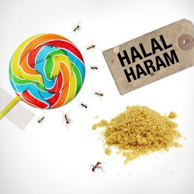 Haram - care este definiția, semnificația și interpretarea haraamului