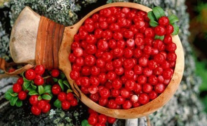 Cranberries de berry sunt utile, proprietăți medicinale și contraindicații