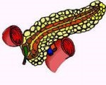 Boli ale pancreasului și tratamentul medicamentelor folclorice ale pancreasului