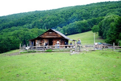 Turism verde în patul de vară al Carpatilor pentru începători