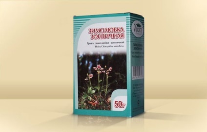 Wintergreen (iarbă umbrelă) descrierea și proprietățile medicinale ale plantei, fotografie