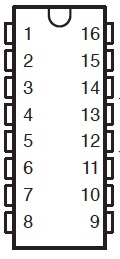 Zoetrope (Zoetrope)