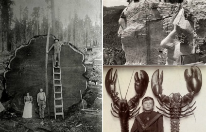 10 fotografii istorice care distrug stereotipurile despre dimensiunea lucrurilor familiare