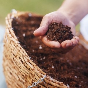 7 Motive pentru care este necesar să se fertilizeze solul, ultradacha