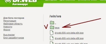 Luăm cheia și programul drweb, împărtășim experiența noastră de calculator