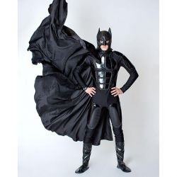 Batman și pisica - animatori, personaje de poveste - 